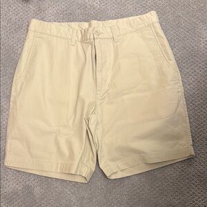 Patagonia Men's Beige Shorts